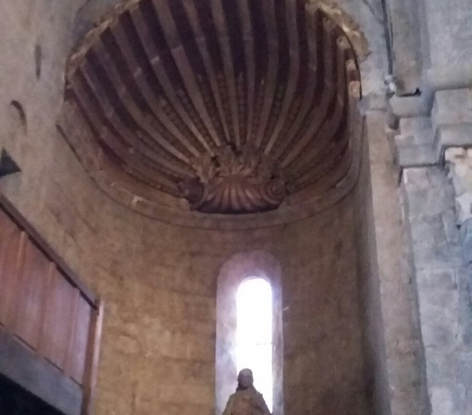 Cathedrale Notre-Dame-des-Pommiers de Sisteron景点图片