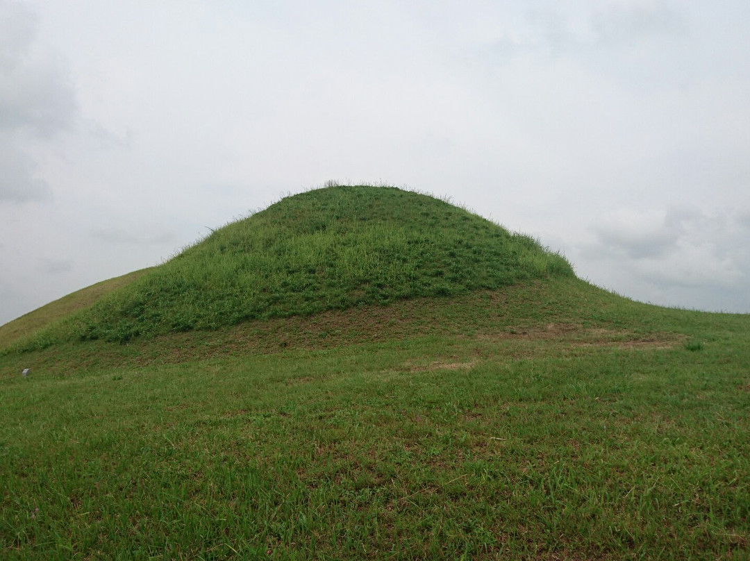 Bullodong Ancient Tomb Park-大邱必去景点