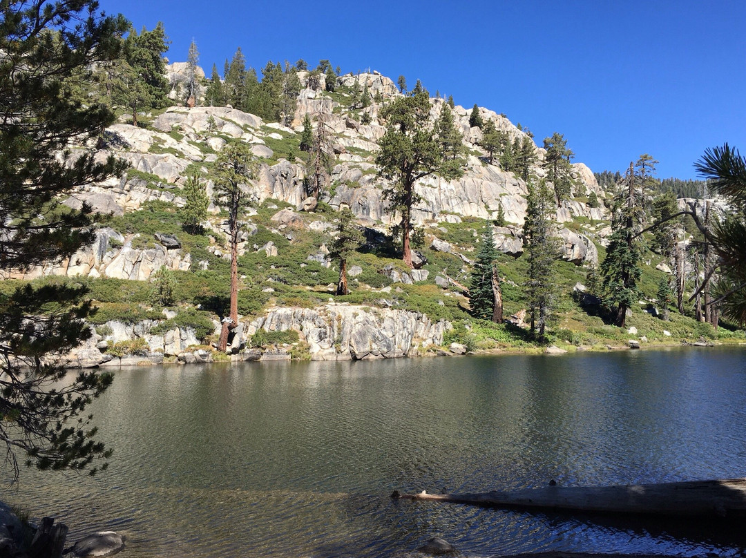 Aspen Meadows Pack Station景点图片