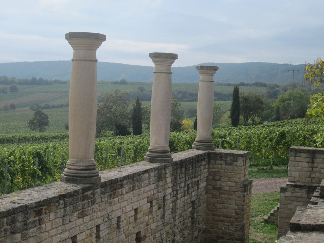 Römisches Weingut Weilberg景点图片