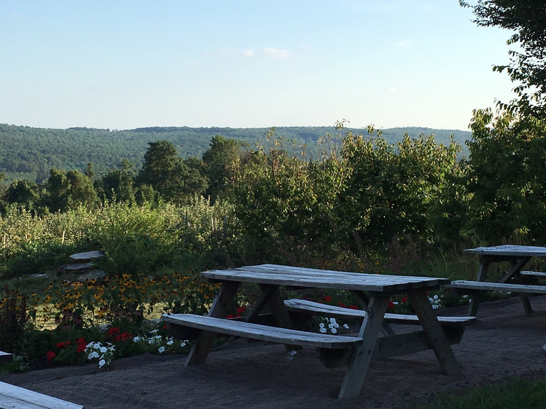 Reid's Orchard & Winery景点图片
