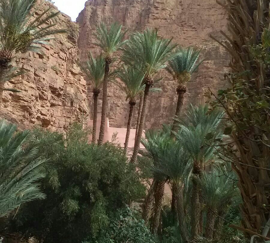 Nejma Morocco Tours景点图片