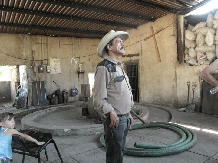 Experience Agave-特基拉必去景点