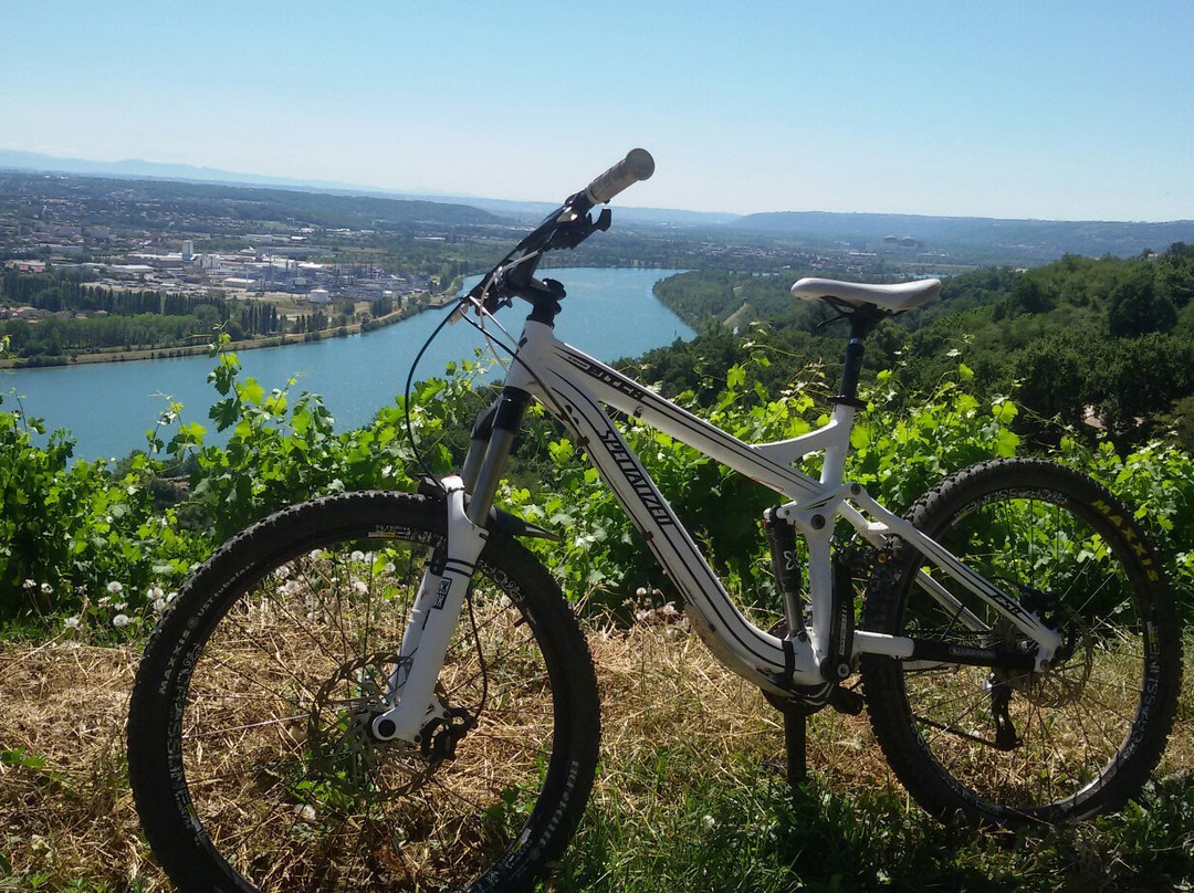 Saint-Clair-du-Rhone旅游攻略图片