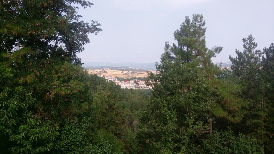 Milionis Forest Hotel主图