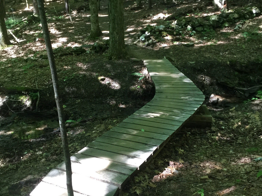 Cady Hill Forest-斯托必去景点