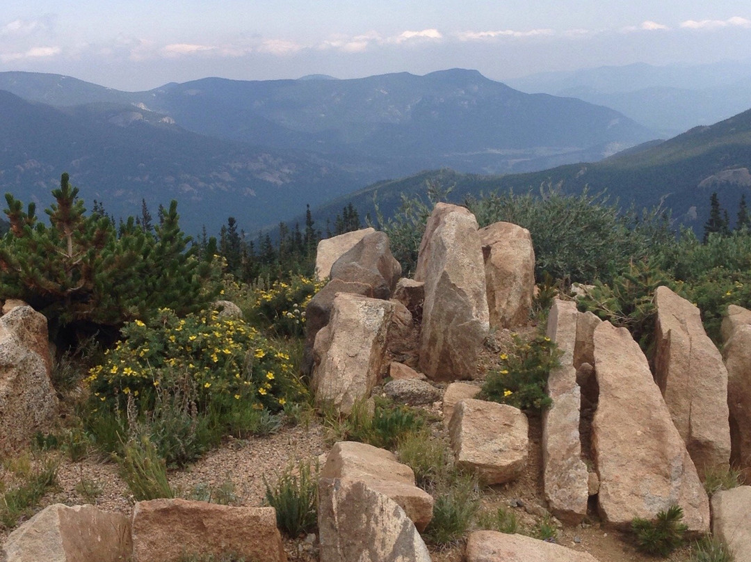 Mount Goliath Natural Area-Evergreen必去景点