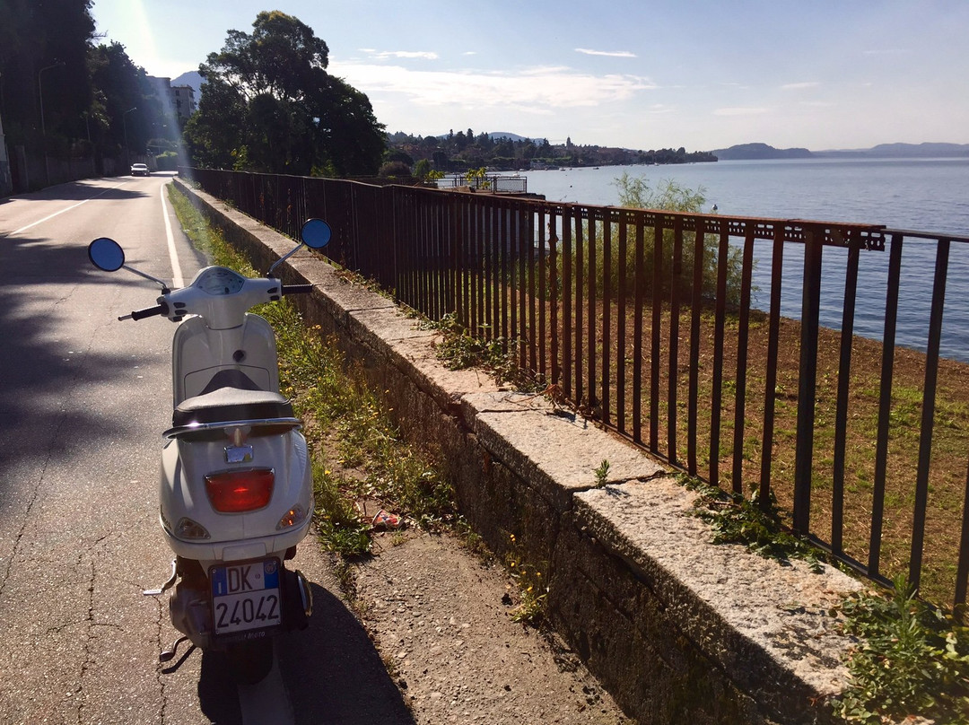 Living Lake - Bike and Scooter Rental景点图片