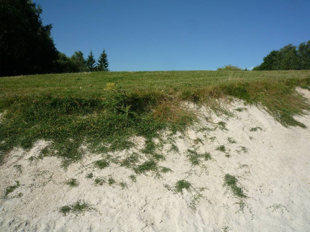 Golf de la Vaucouleurs景点图片