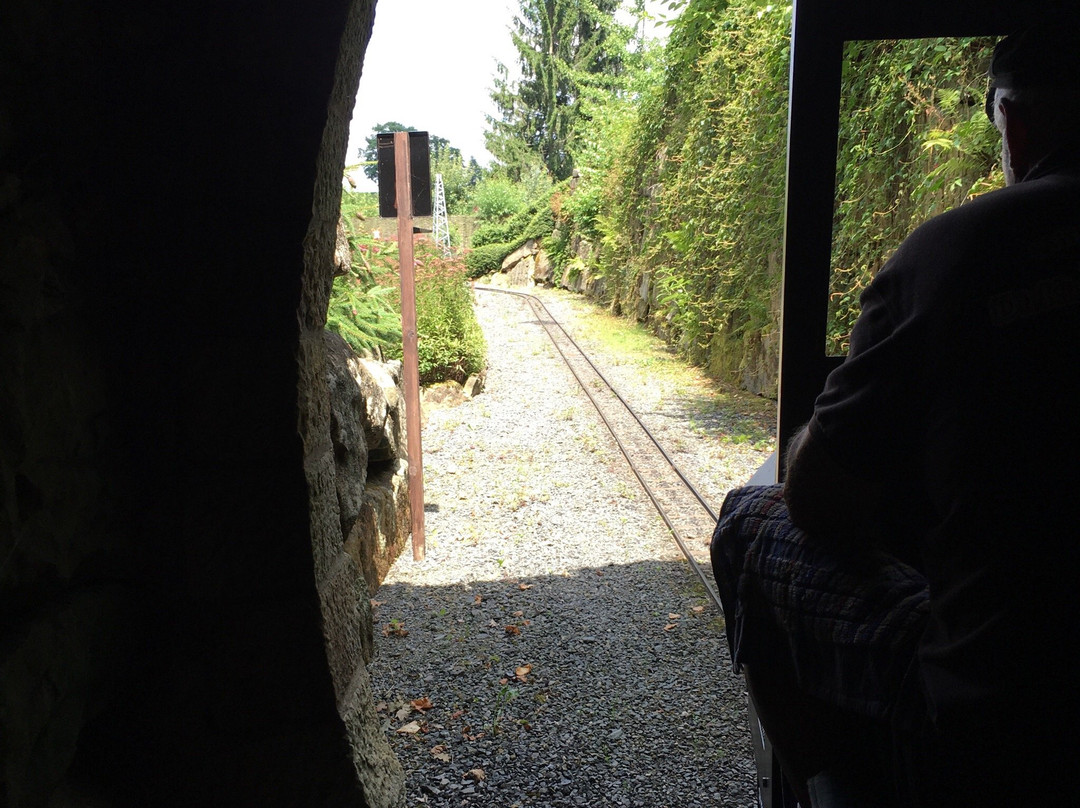Miniaturpark Die Kleine Sachsische Schweiz-Stadt Wehlen必去景点