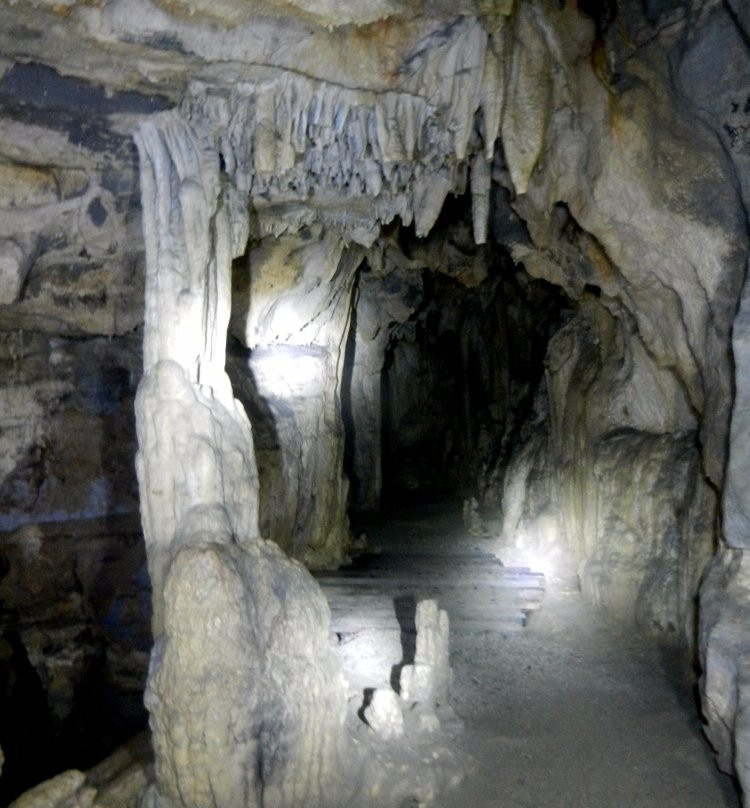 Cueva de Palestina景点图片