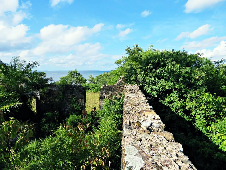 Estacao Ecologica da Ilha do Medo景点图片
