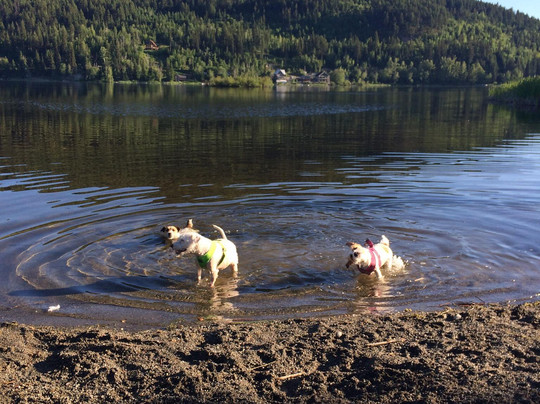 Jandana Ranch-坎卢普斯必去景点