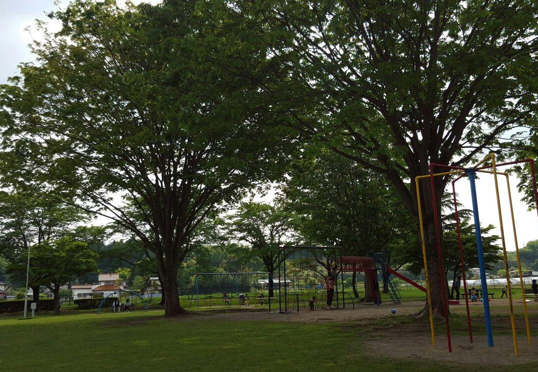 Nakagawa Riverside Park-那须盐原市必去景点