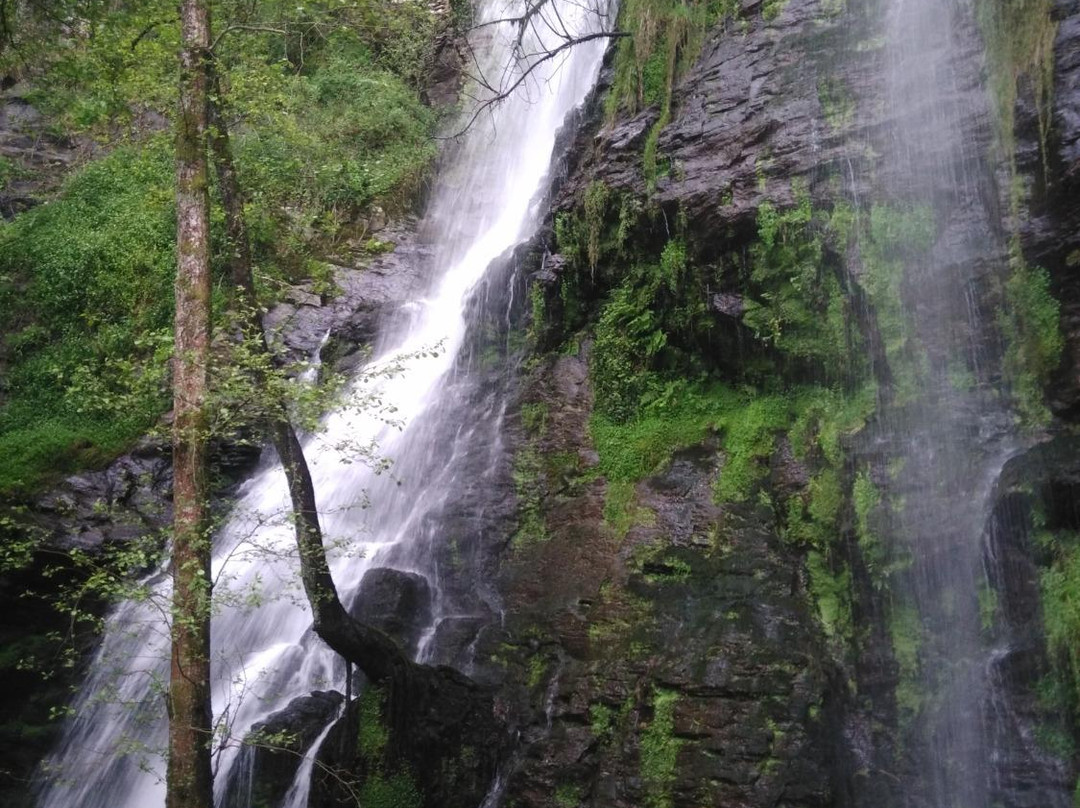 阿尔苏阿旅游攻略图片