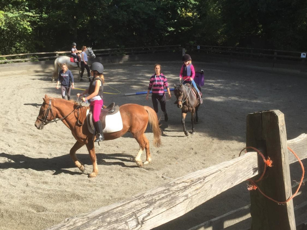 Mayfield Horse Riding Stables景点图片