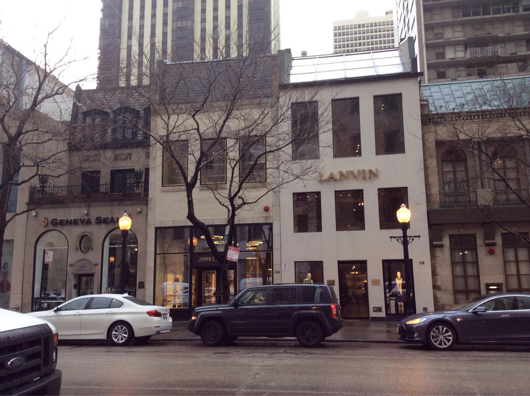 梧桐街-芝加哥必去景点