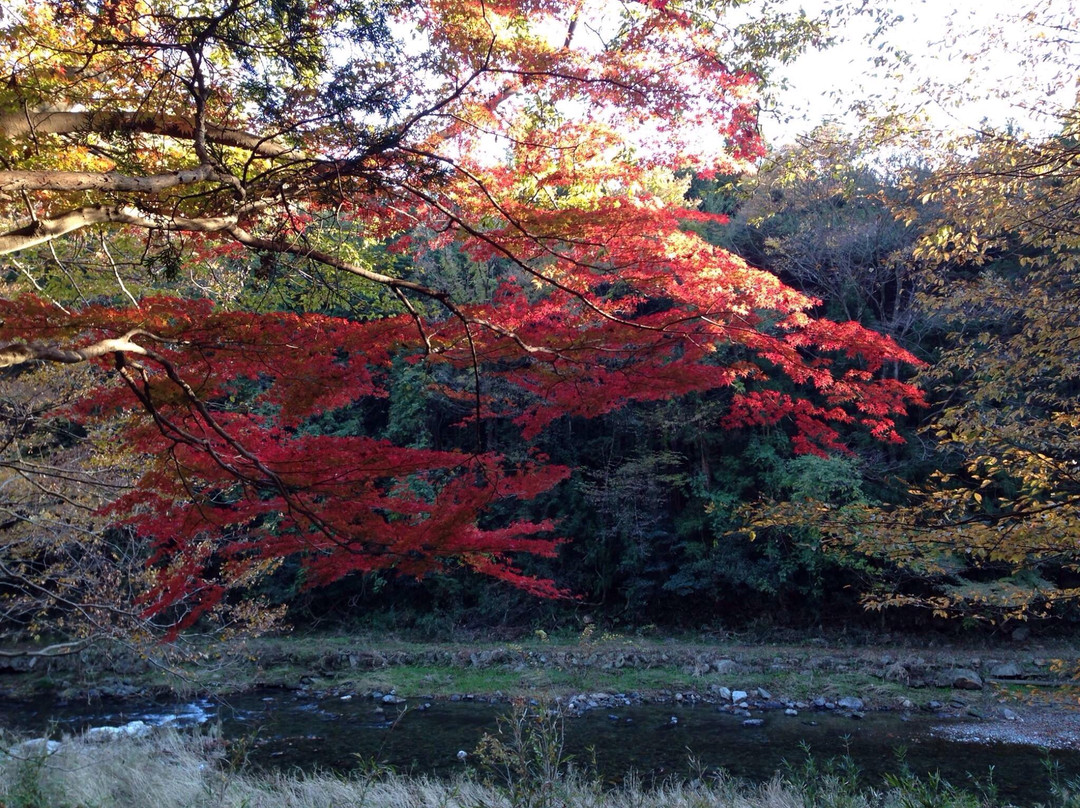Mt. Ohirayama-岚山町必去景点