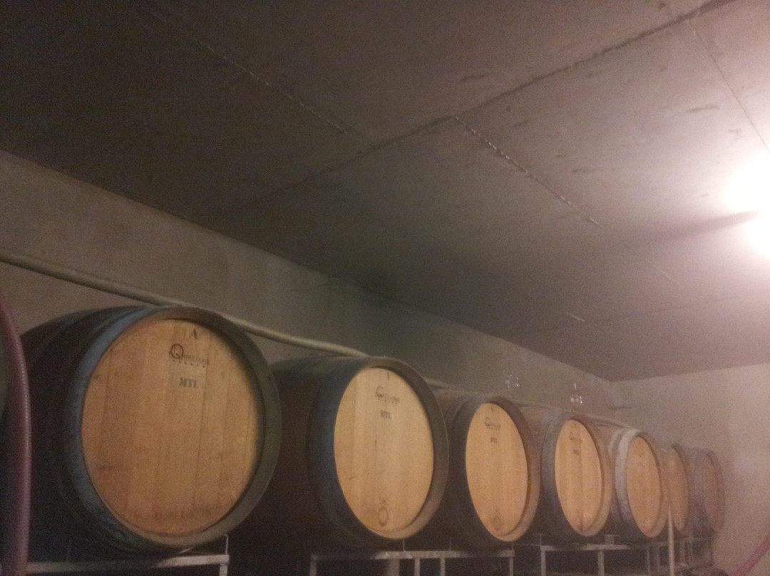 Domaine Hertzog-Herrlisheim-pres-Colmar必去景点