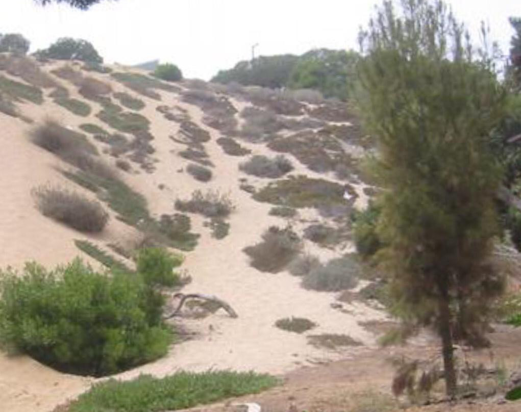 Sand Dune Park-曼哈顿海滩必去景点