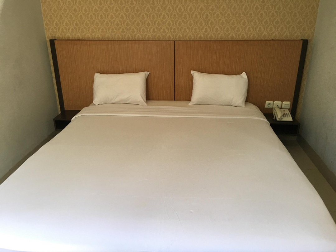 Paropo酒店住宿-Parade Guest House