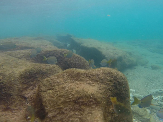 Ocean Escape Puerto Rico-吕康必去景点