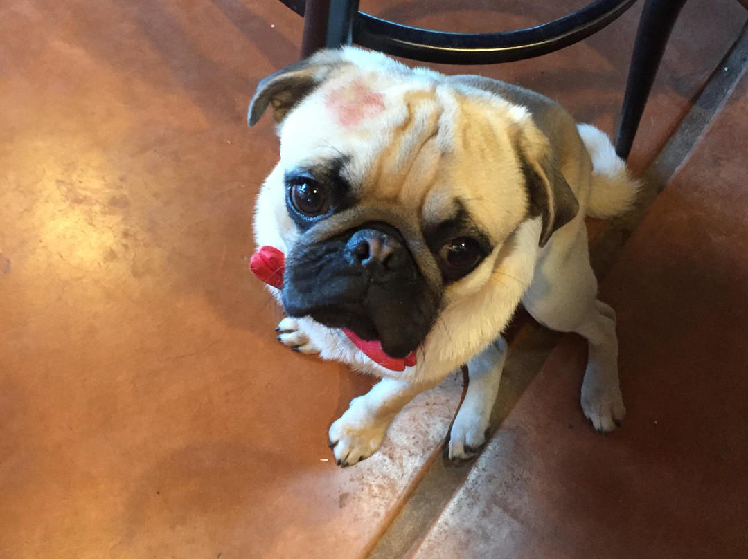 Wilhelm Family Vineyards-Sonoita必去景点