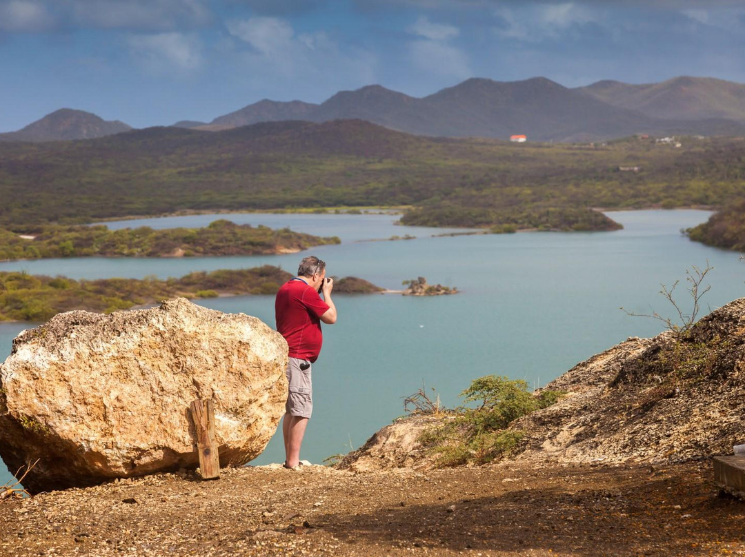 Gail's Gallery-威廉斯塔德必去景点