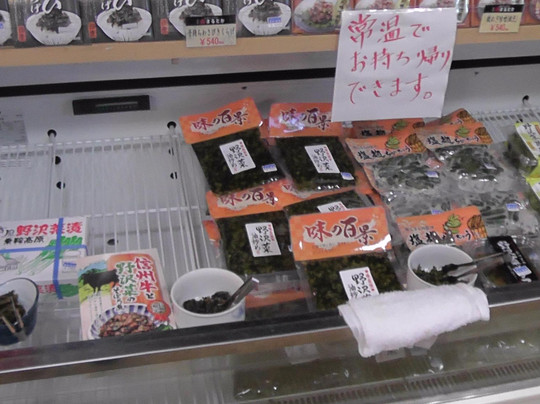 Echo Norikura-松本市必去景点