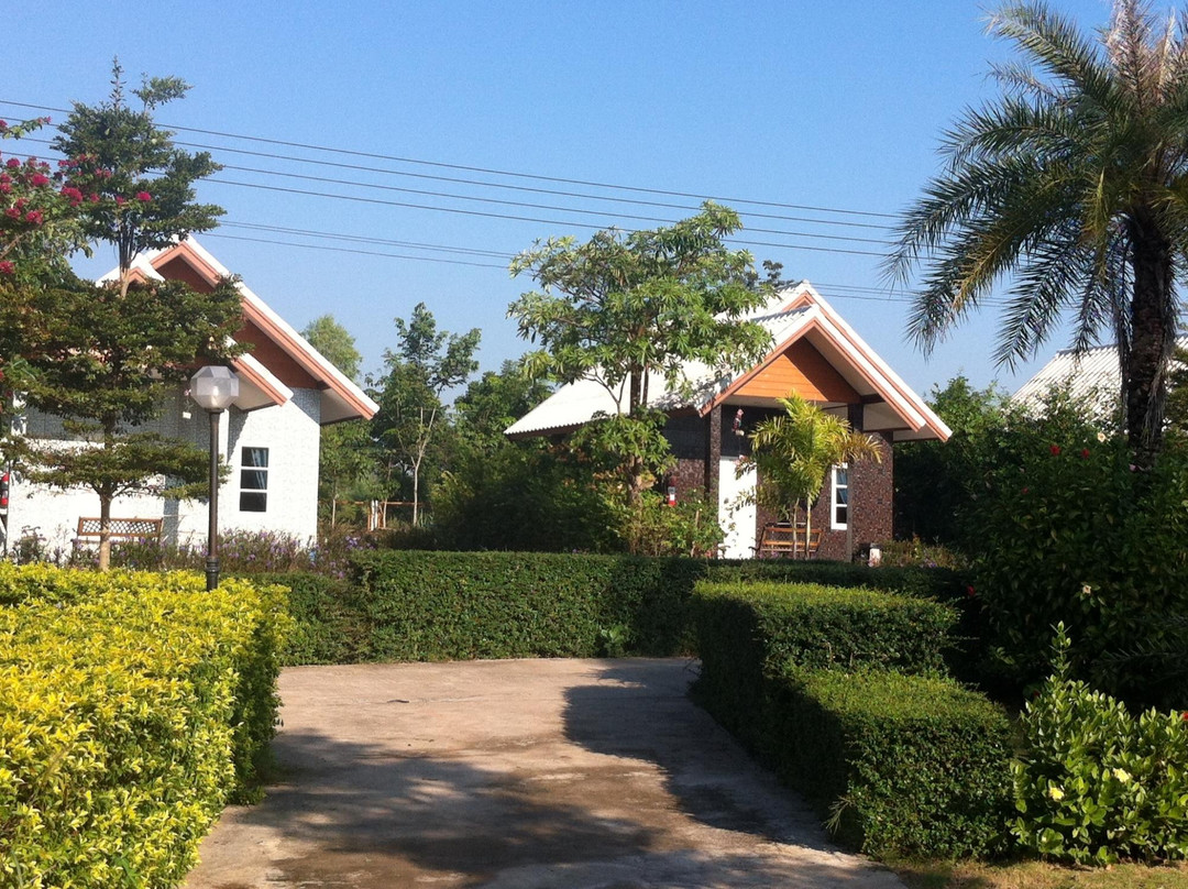 The Lion Park Resort景点图片