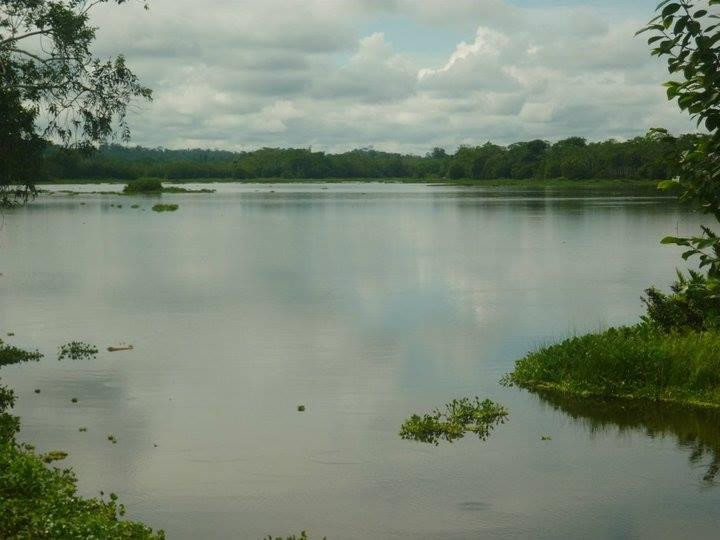Lago Cuipari景点图片