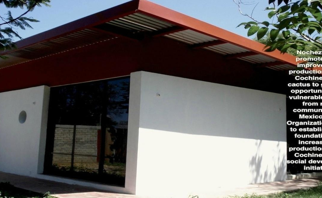 Museo Vivo de la Grana Cochinilla - Nocheztlicalli-瓦哈卡必去景点