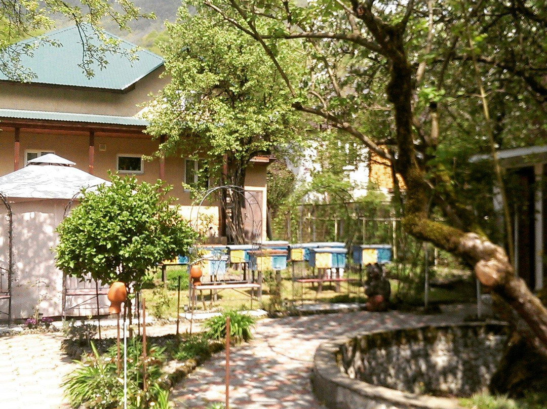 Beegarden Medovy Rai景点图片