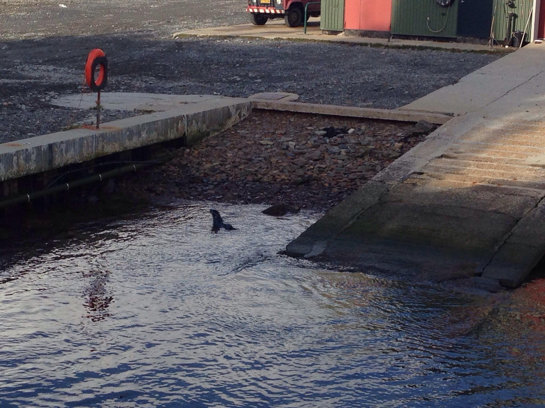Fortuna Bay-南乔治亚岛必去景点