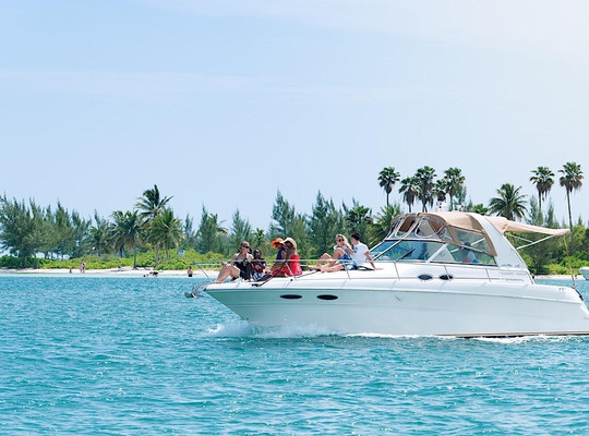 Sealand Adventure Tours