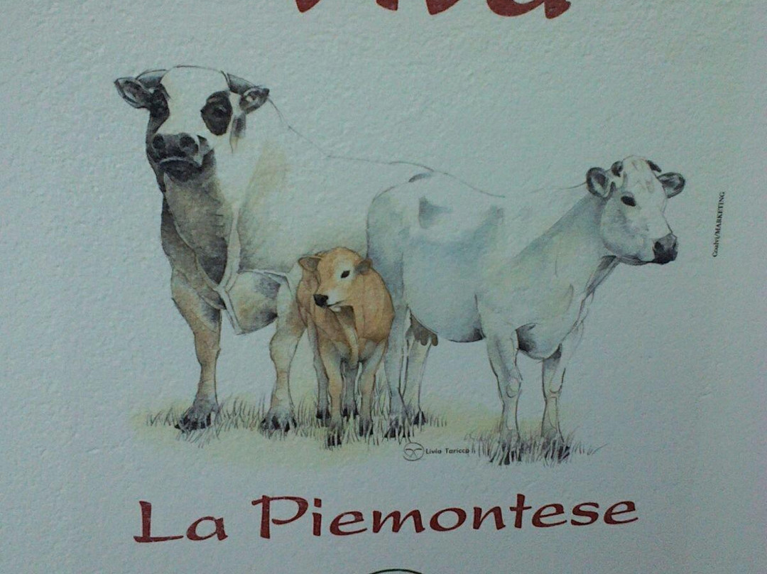 Casa della Piemontese景点图片