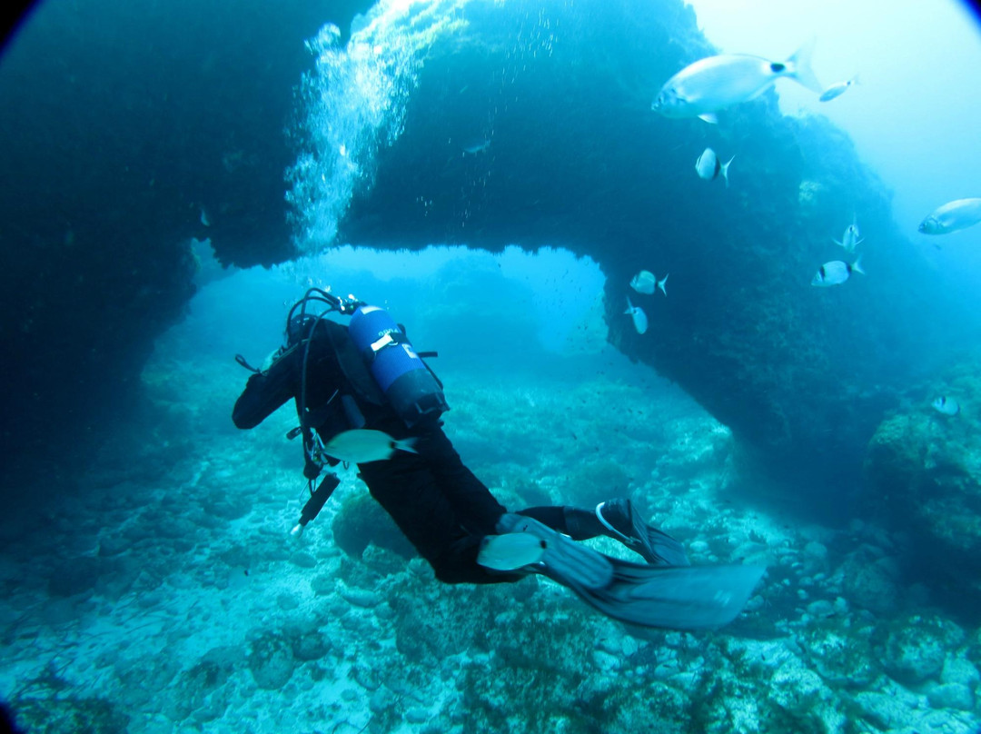 New Horizons Snorkel & Dive Centre-麦克尔斯菲尔德必去景点