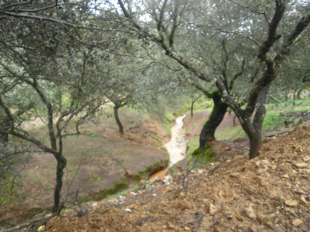 Finca Los Robledos景点图片