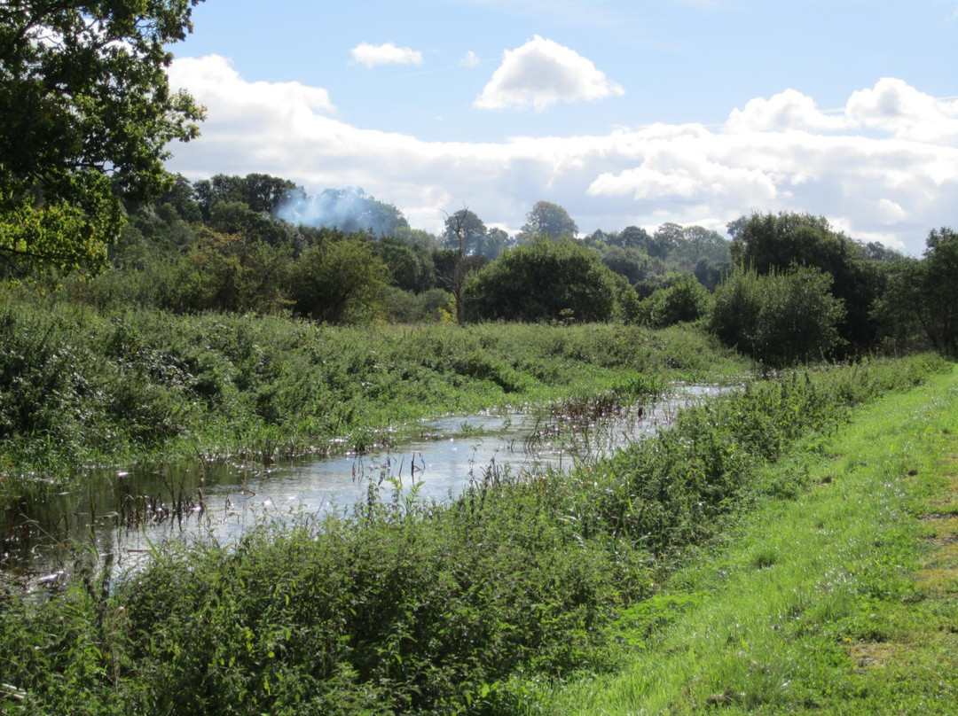 Newry Canal Towpath景点图片