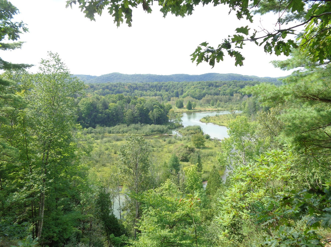 Manistee River景点图片