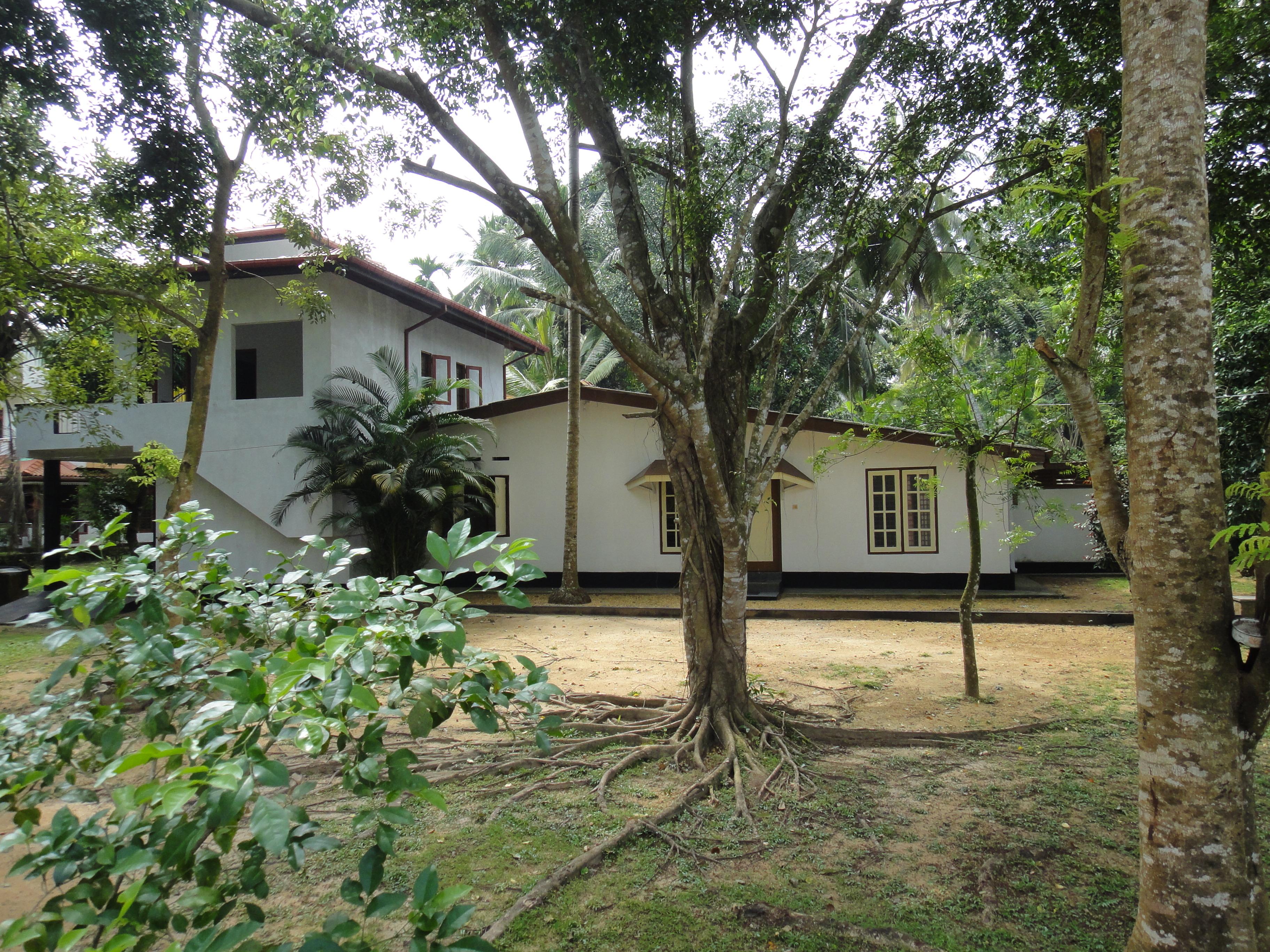 Tropical Tree Villa Galle-客卧