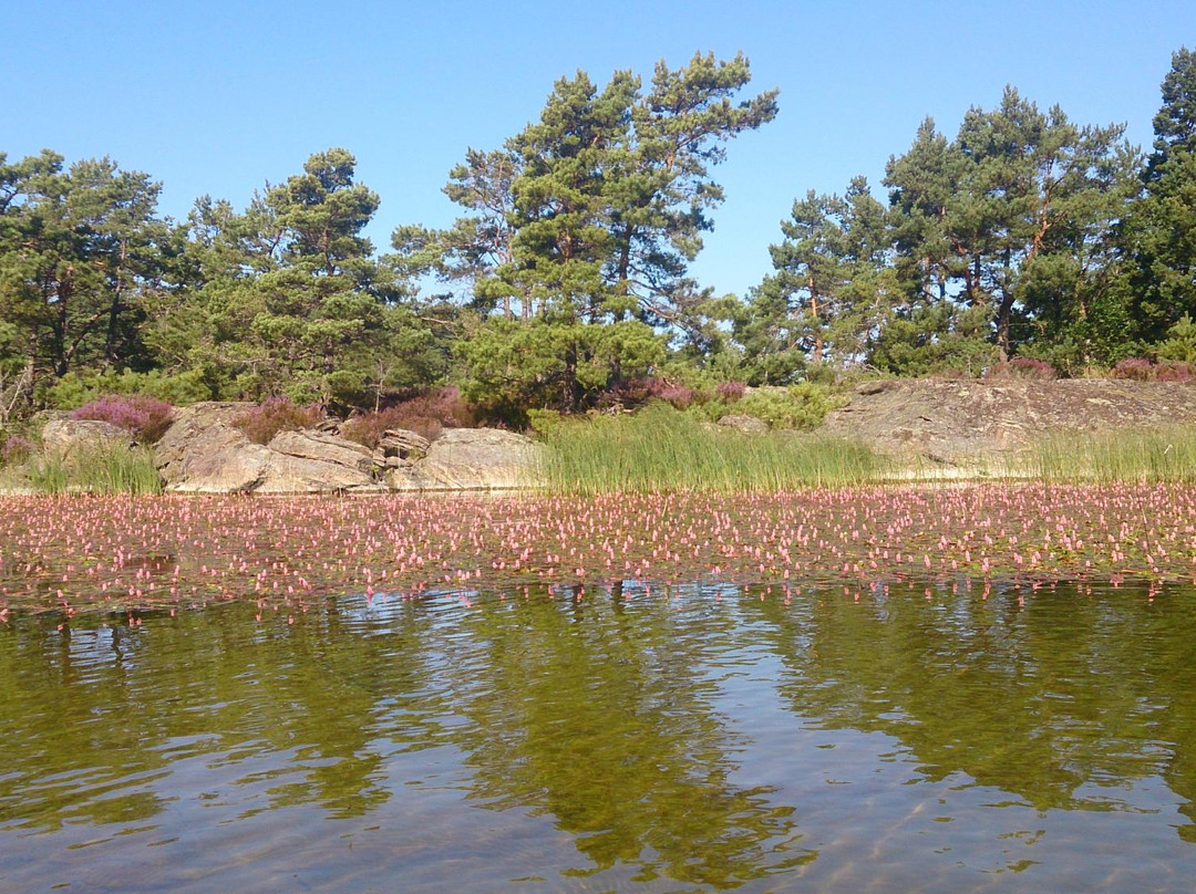 Djurö National Park景点图片
