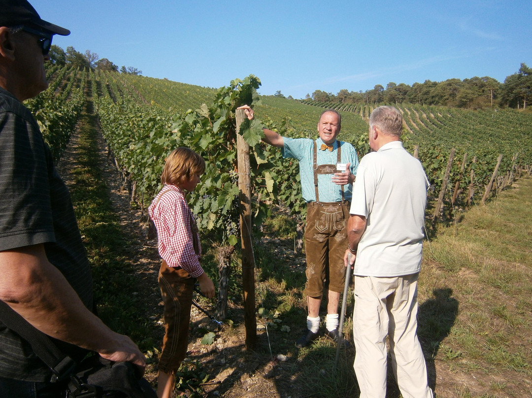 Johannes Deppisch Weinhaus am Main Winery景点图片
