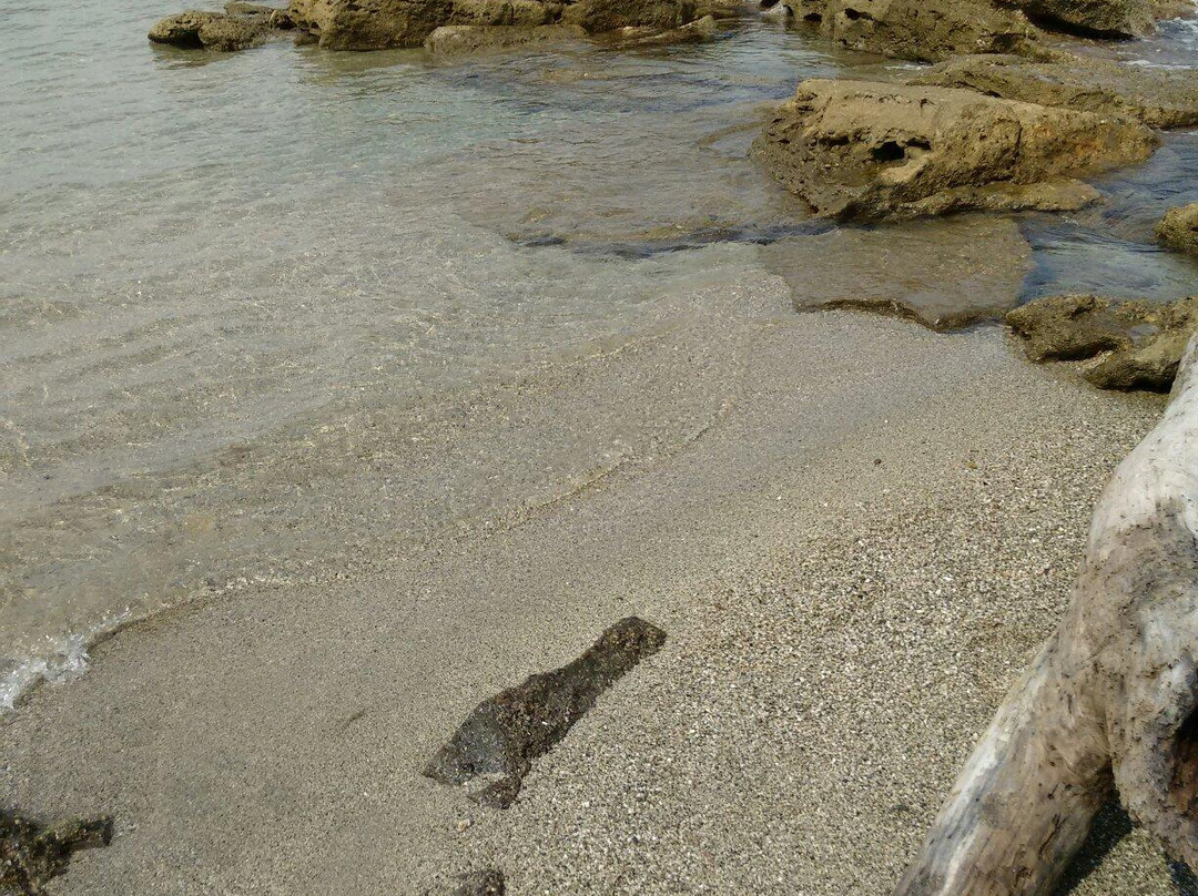 Plage de Bravone-Linguizzetta必去景点