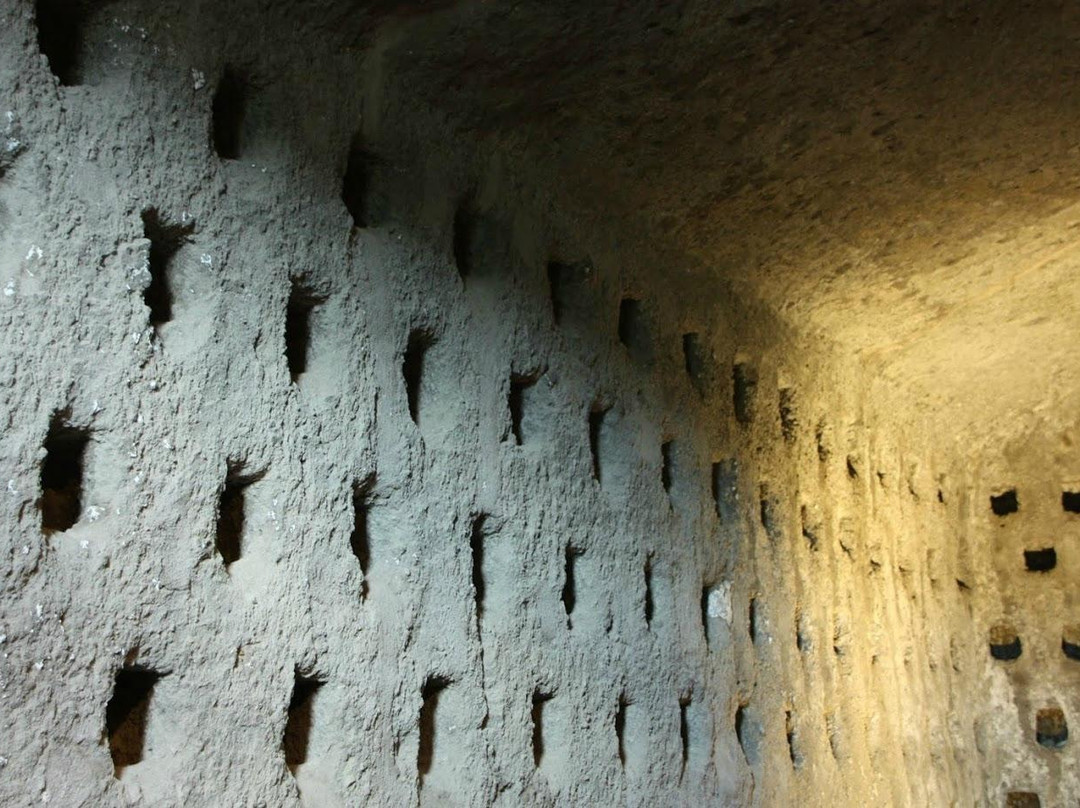 Orvieto Underground景点图片