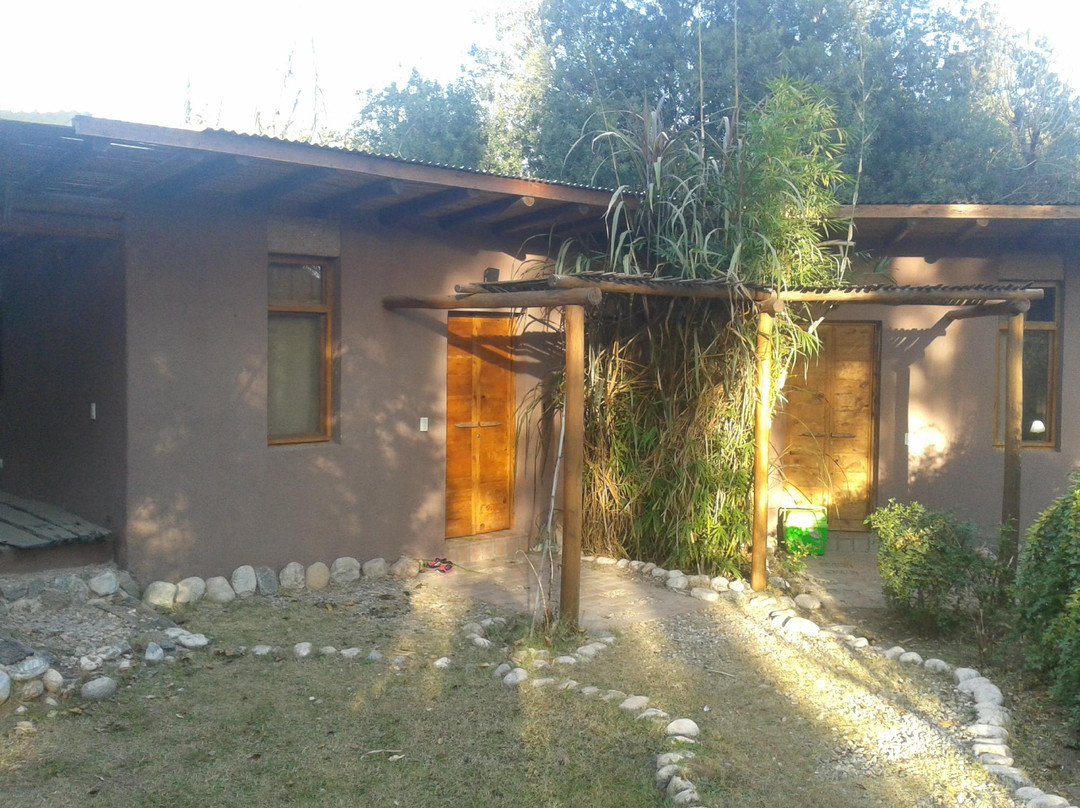 Croa La Rana