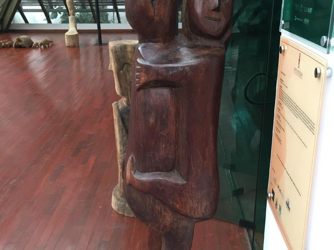 Biblioteca Da Floresta-Rio Branco必去景点