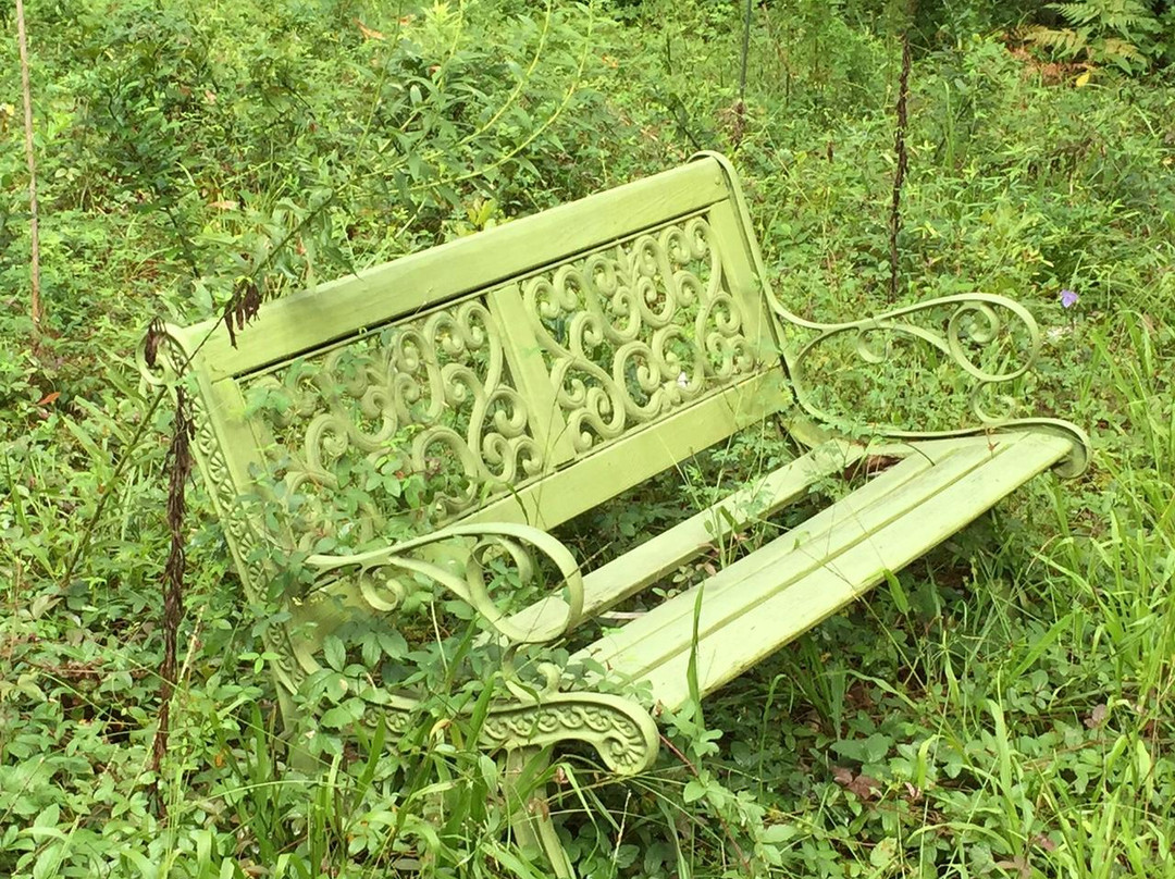 Savannah-Ogeechee Canal Museum and Nature Center-萨凡纳必去景点