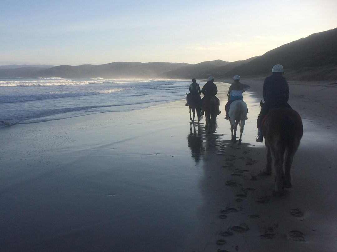 Blazing Saddles-Aireys Inlet必去景点