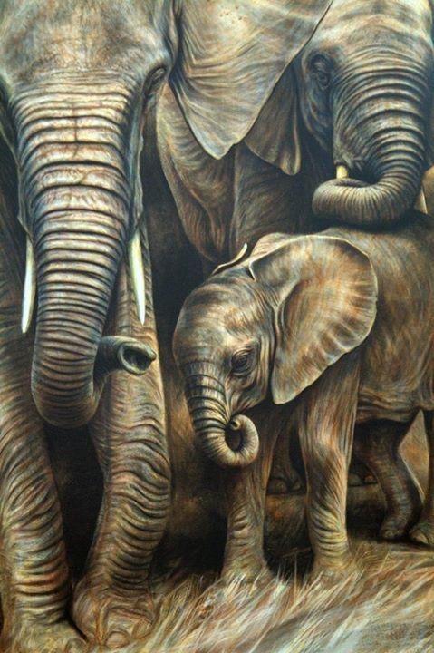 Steve Morvell Wildlife Art-贺思盖必去景点